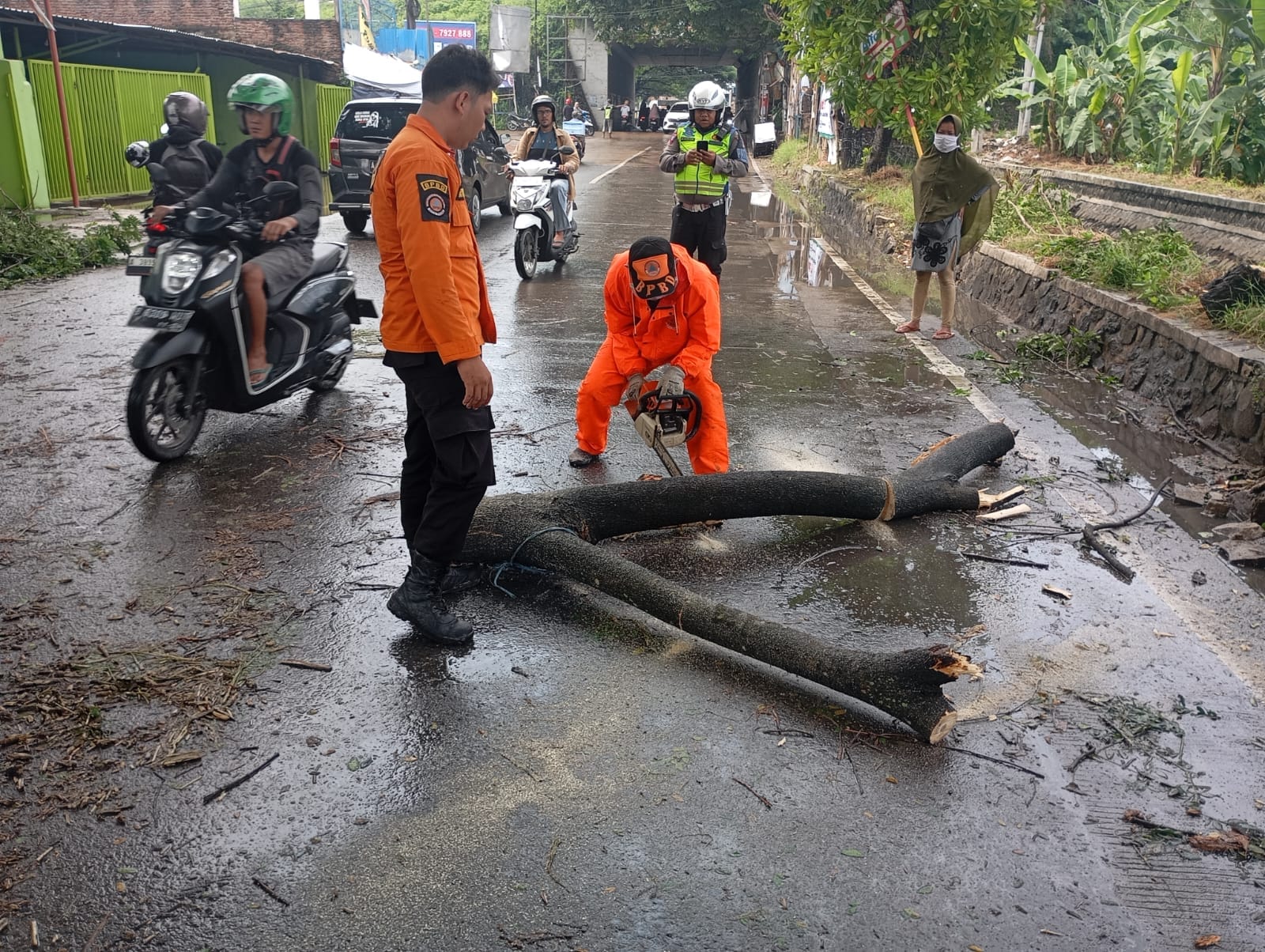 PENANGANAN POHON TUMBANG