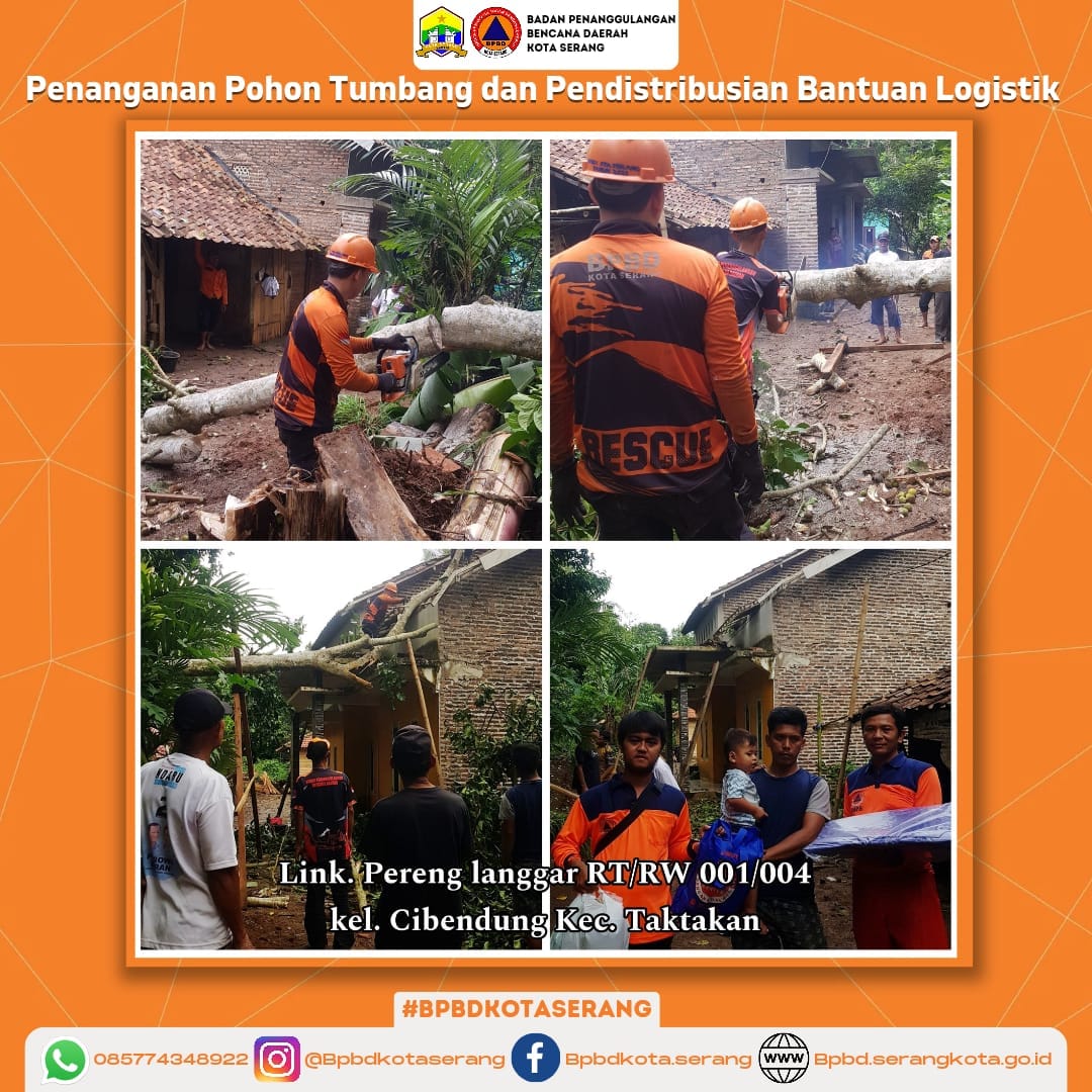 PENANGANAN POHON TUMBANG