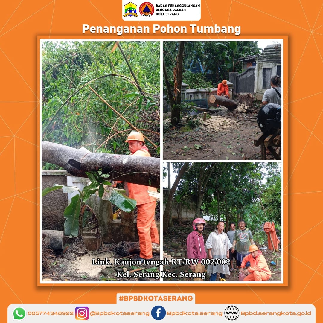 PENANGANAN POHON TUMBANG