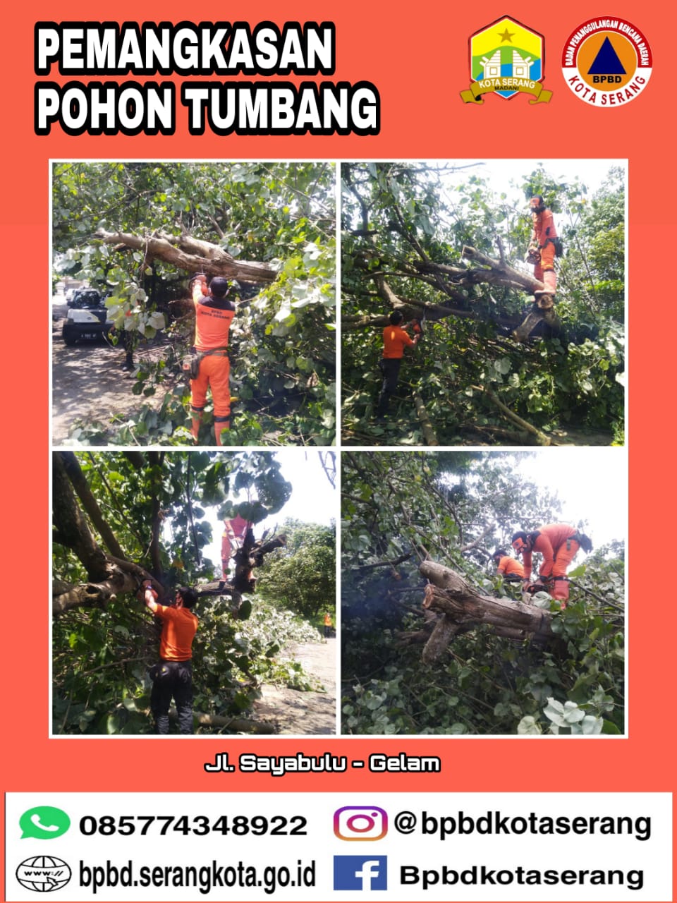 Giat BPBD Kota Serang melakukan Pemangkasan Pohon Tumbang yang menghalangi jalan Hari Senin 08 Febuari 2021 Jam 10.50 WIB di Jl. Sayabulu Kel. Gelam Kec. Cipocok Jaya