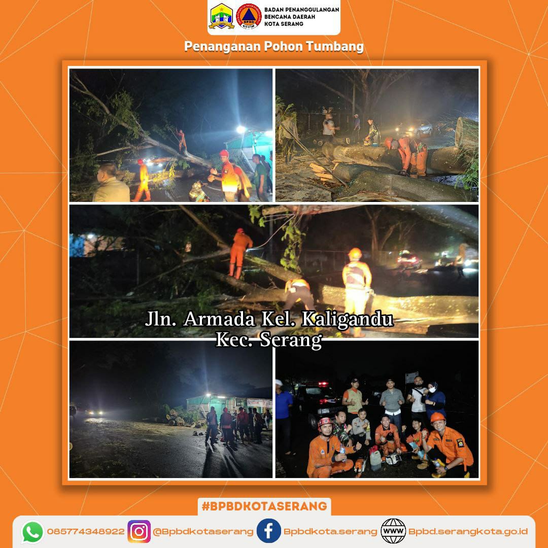 Dapat Laporan Pohon Tumbang TRC BPBD Kota Serang Sigap Tanganinya
