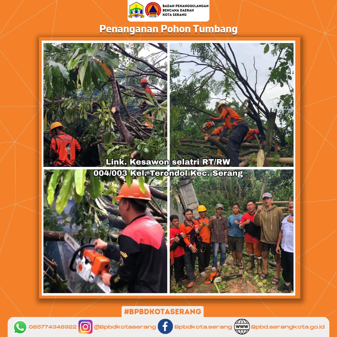Penanganan Pohon Tumbang Menimpa Rumah Penyebab Dari Faktor Alam (Hujan disertai Angin kencang)