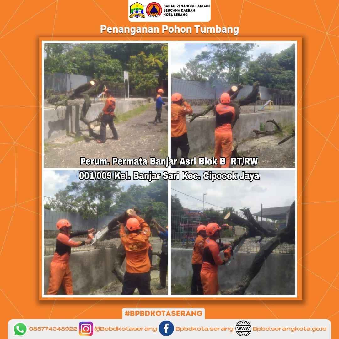 Penanganan Pohon Tumbang Penyebab Dari Hujan Dan Angin Kencang