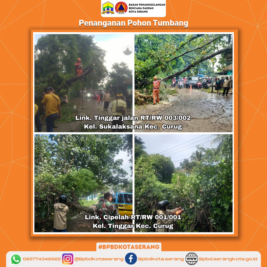 Penanganan 2 (dua) Pohon Tumbang Yang DiSebabkan Faktor Alam (Hujan deras di sertai Angin kencang)