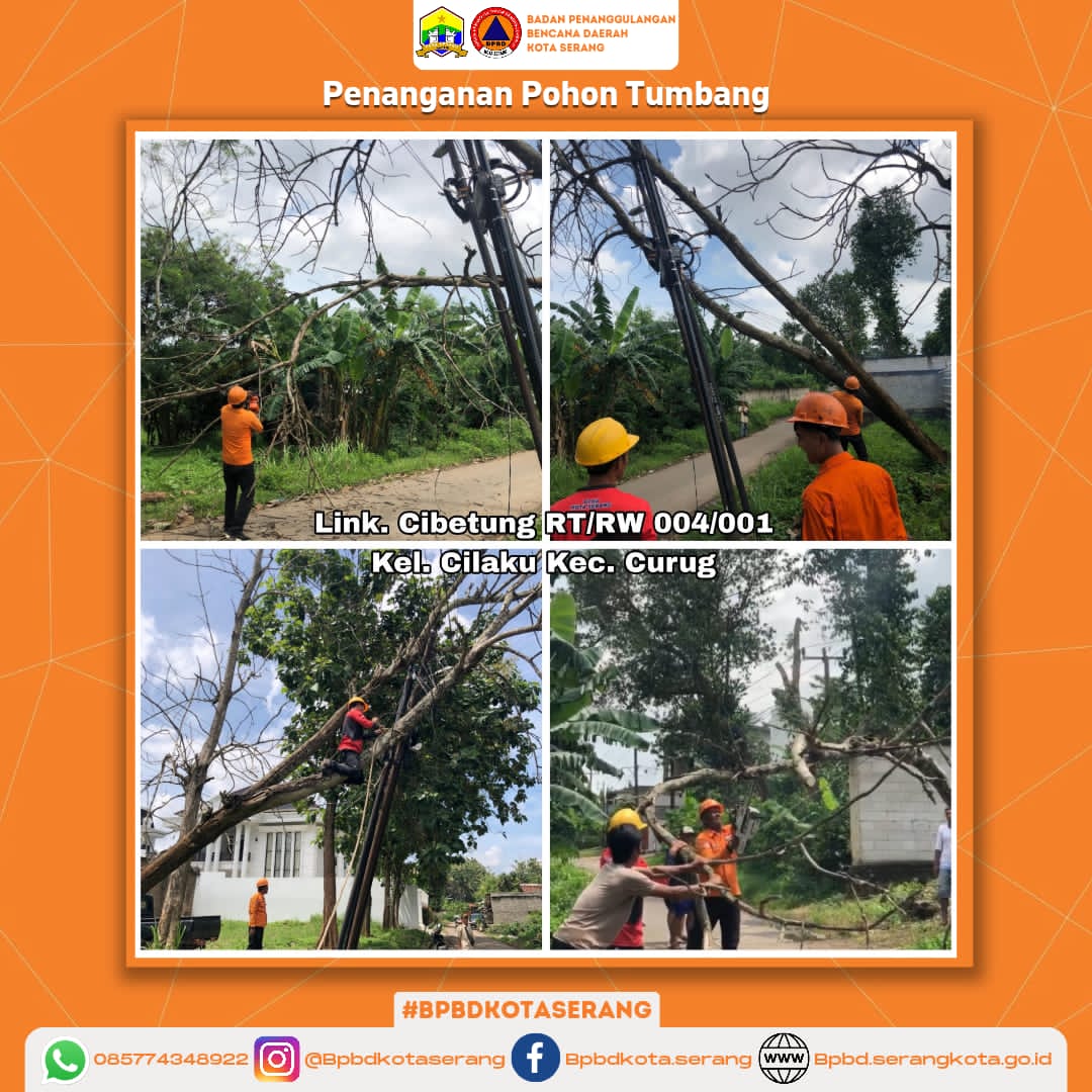 Penanganan Pohon Tumbang Mengakibatkan Pohon Menimpa kabel PJU & Wifi