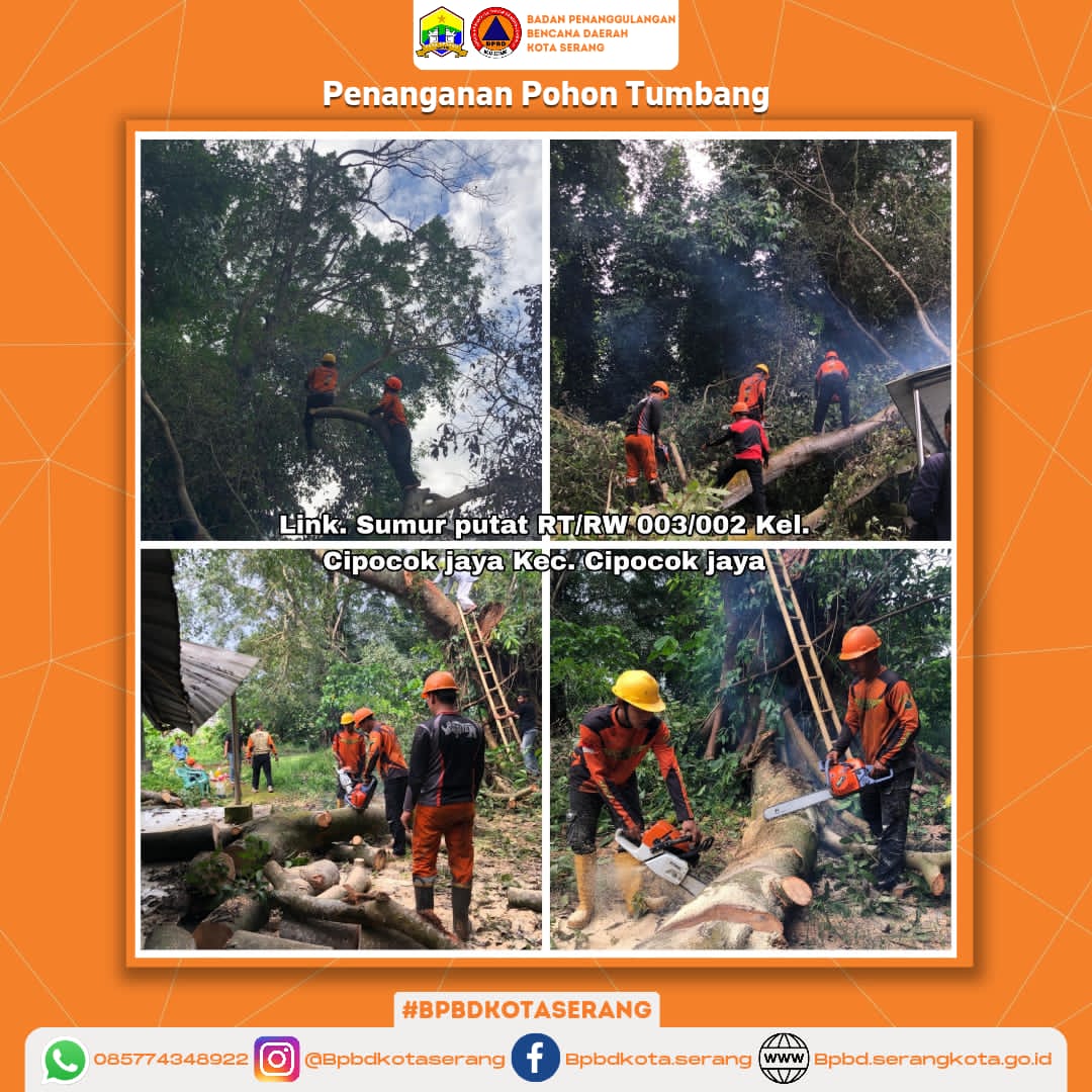 Penanganan Pohon Tumbang Karena Faktor Alam (Hujan dan Angin kencang) Sehingga Pohon Menimpa Gudang Makam