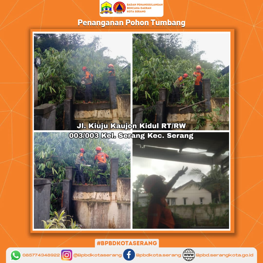 " Penanganan Pohon Tumbang Menimpa Rumah "