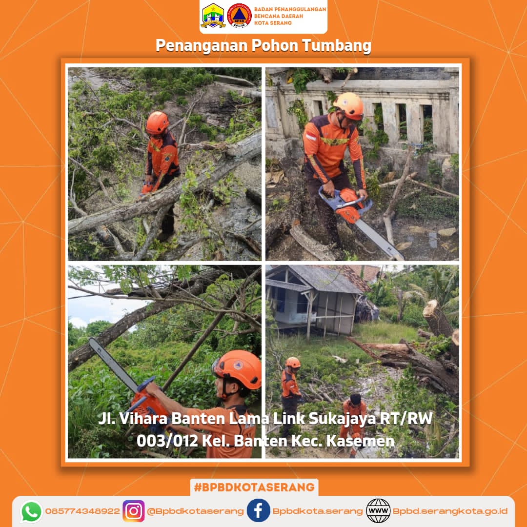 Penanganan Pohon Tumbang Di Sebabkan Oleh Faktor Alam (Hujan deras di sertai Angin kencang) Sehingga Menghalangi Akses Jalan