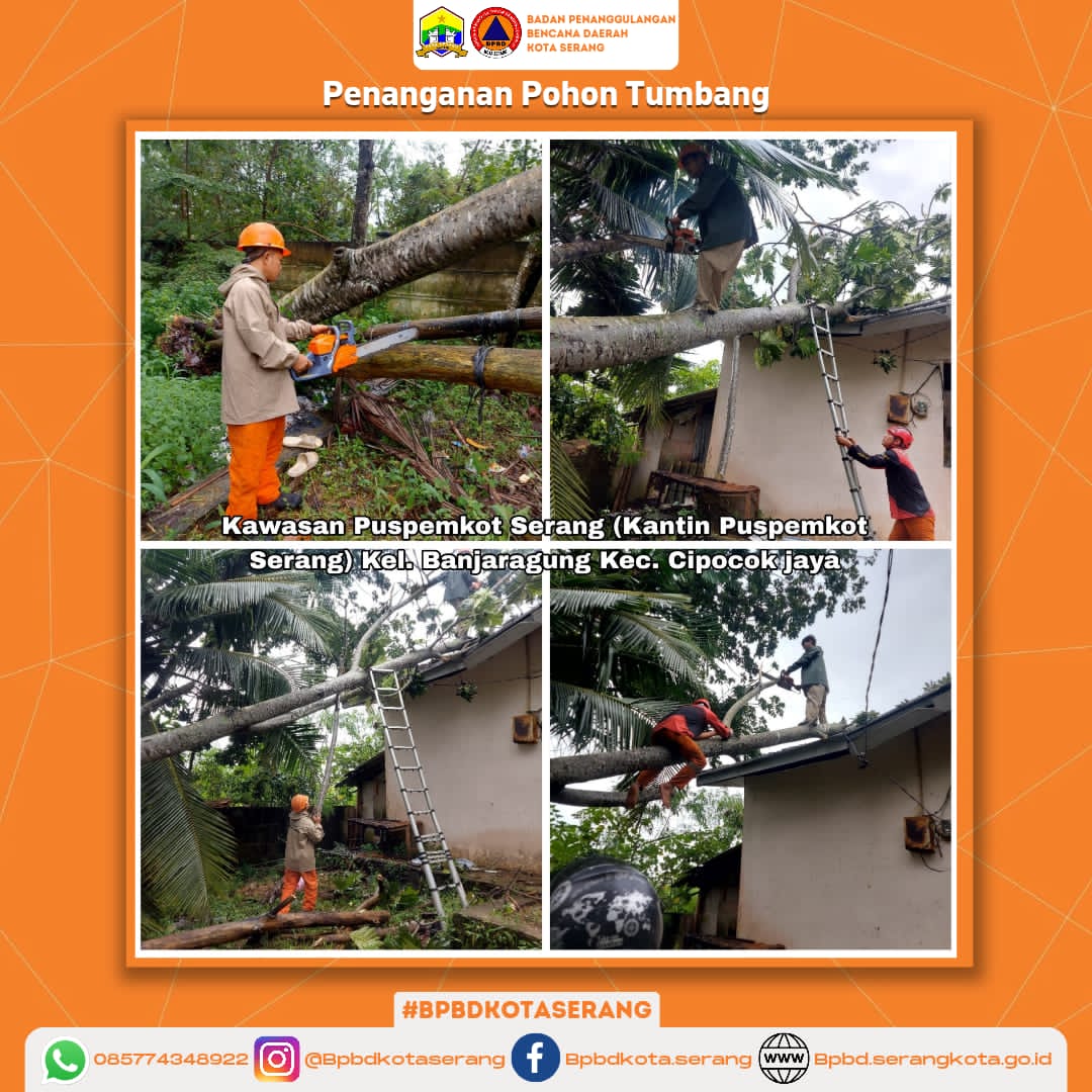 Penanganan Pohon Tumbang  Yang Disebabkan Oleh Faktor Alam (Hujan deras di sertai Angin kencang) Sehingga Menimpa Atap Kantin