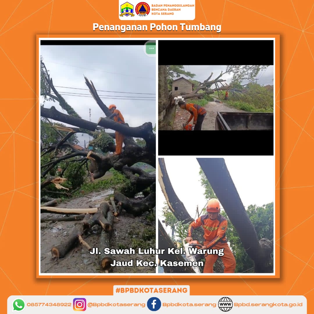Assessment Penanganan Pohon Tumbang Di Wilayah Kota Serang