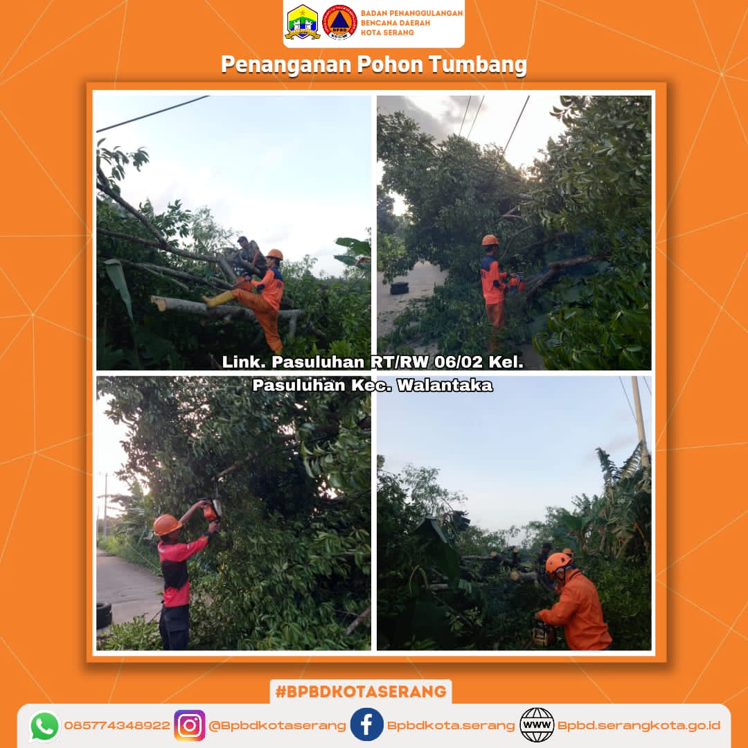 Penanganan Pohon Tumbang Yang Disebabkan Oleh Faktor Alam (Angin kencang)