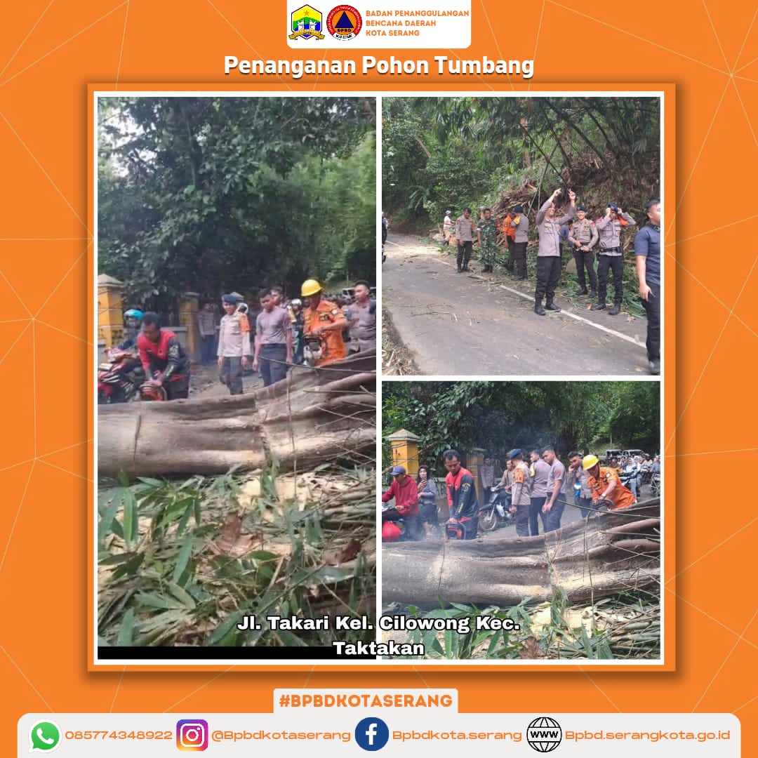 Penanganan Pohon Tumbang Yang Disebabkan Faktor Alam (Pengikisan Tanah/Longsor) Sehingga Menghalangi Akses Jalan Utama Cilowong