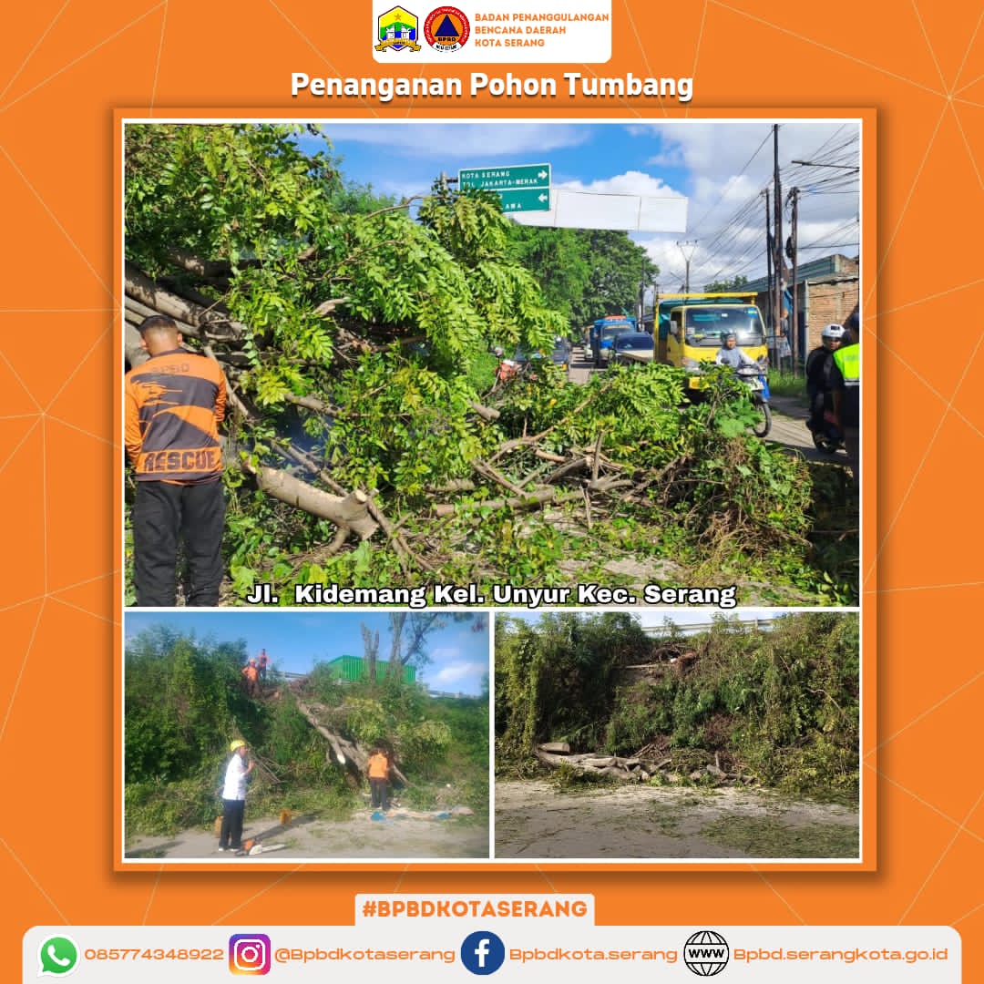Penanganan Pohon Tumbang Yang Disebabkan Oleh Faktor Alam (Angin Kencang) Sehingga Pohon Menghalangi Akses Jalan Utama Kidemang