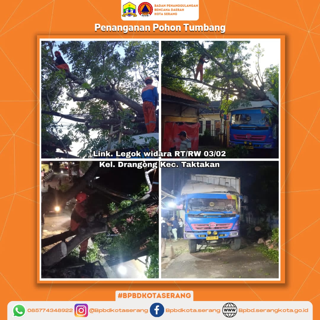 Penanganan Pohon Tumbang Dikarenakan Faktor Alam (Angin kencang) Sehingga Pohon Menimpa Mobil Konteiner Dan Kabel Listrik