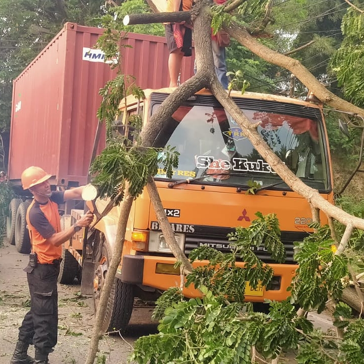 BPBD Kota Serang melakukan Penanganan Pohon Tumbang Hari : Selasa, 21 September 2021 Jam : 16.00 WIB Lokasi : Terowongan Unyur