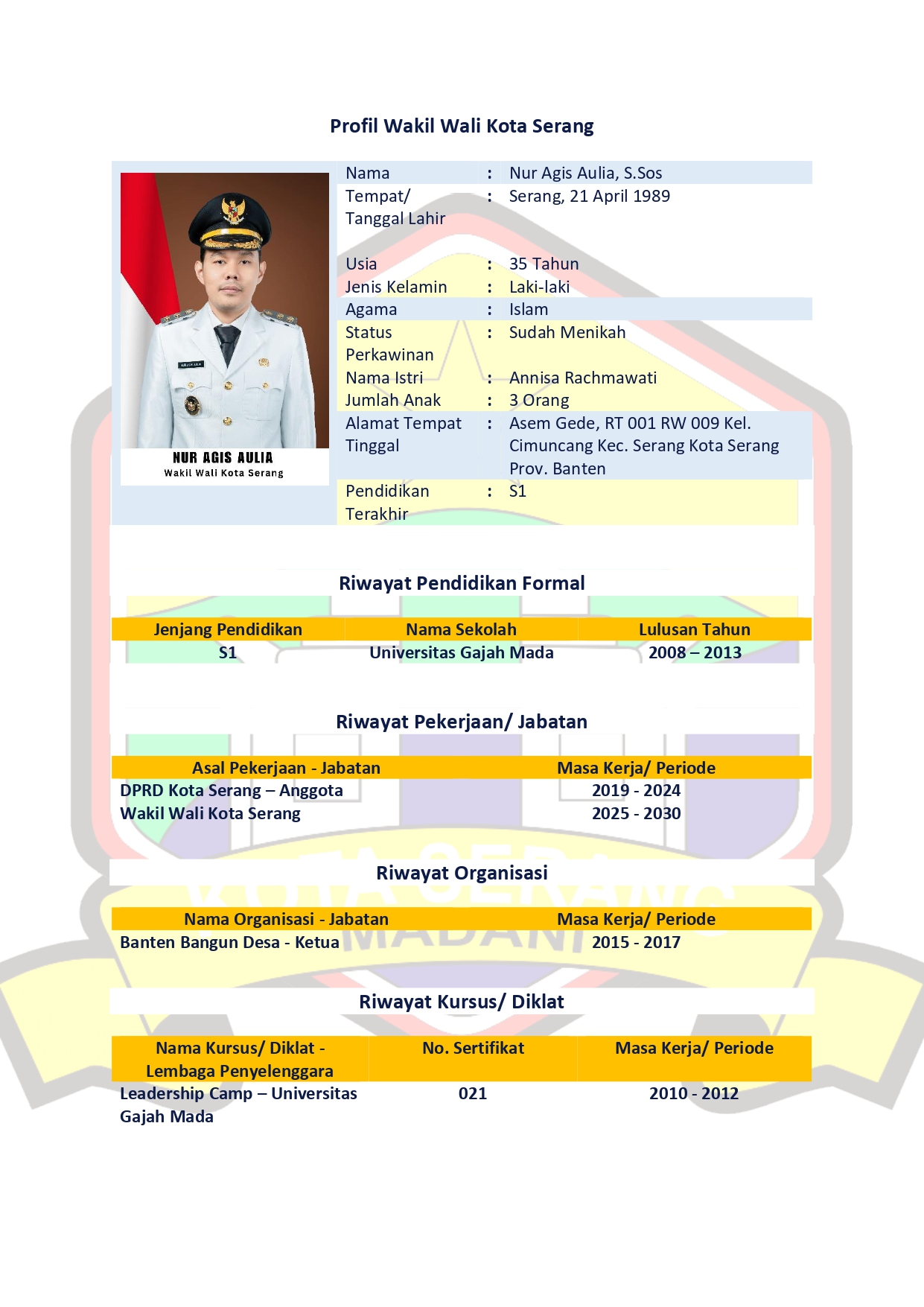 Profil Wakil Wali Kota Serang