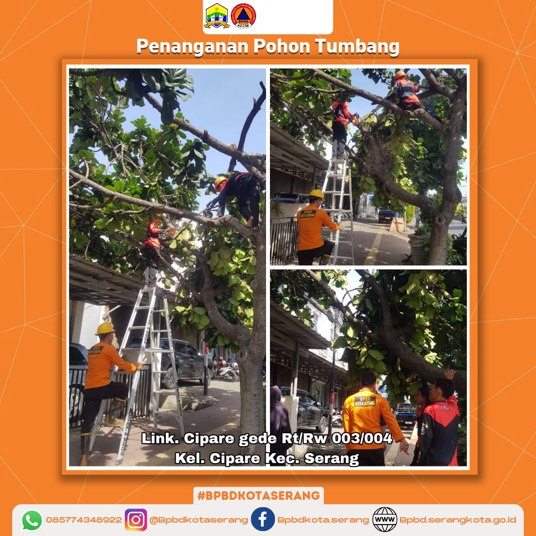 Penanganan Pohon Tumbang Yang Menimpa Rumah