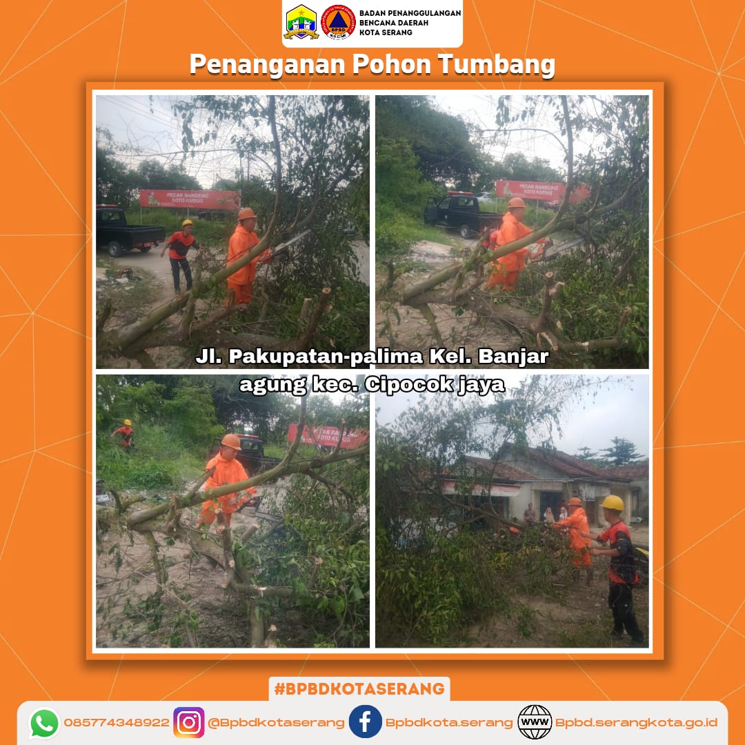 Penanganan Pohon Tumbang Di Wilayah Kota Serang