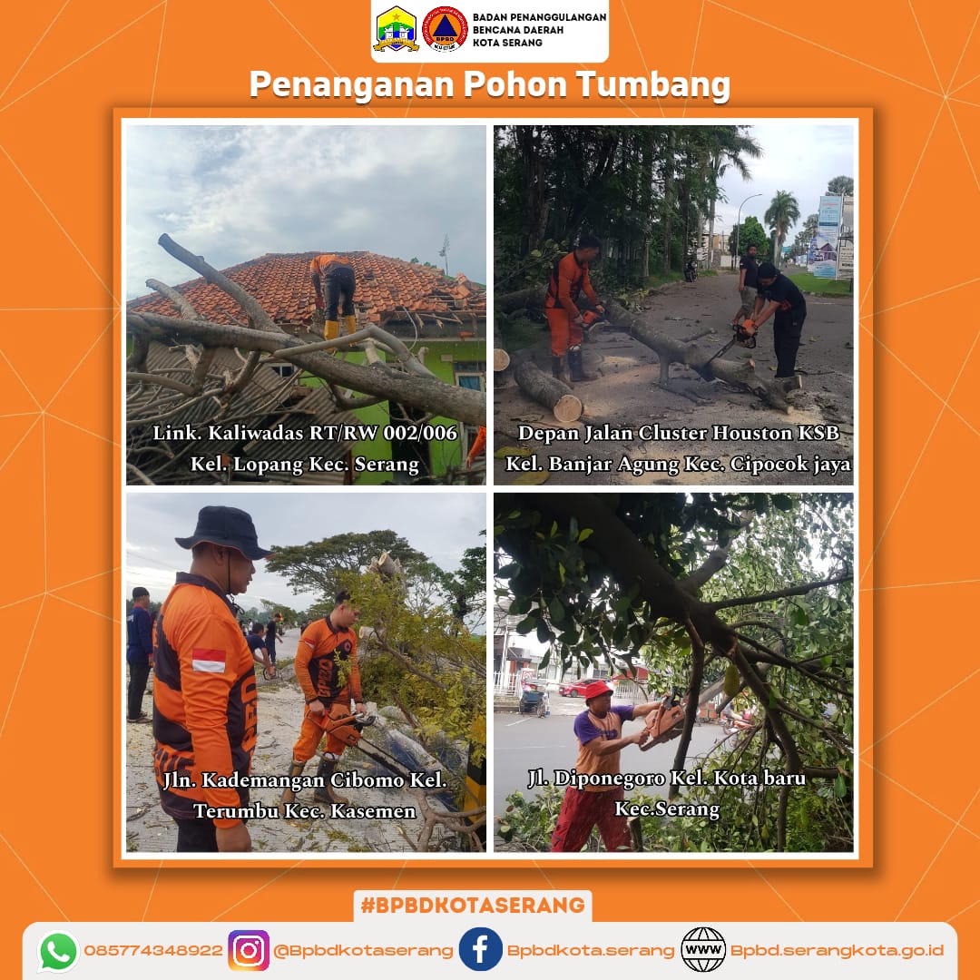 Penanganan 4 Pohon Tumbang yang diakibatkan oleh Cuaca Ekstrim (Hujan Deras dan Angin Kencang)