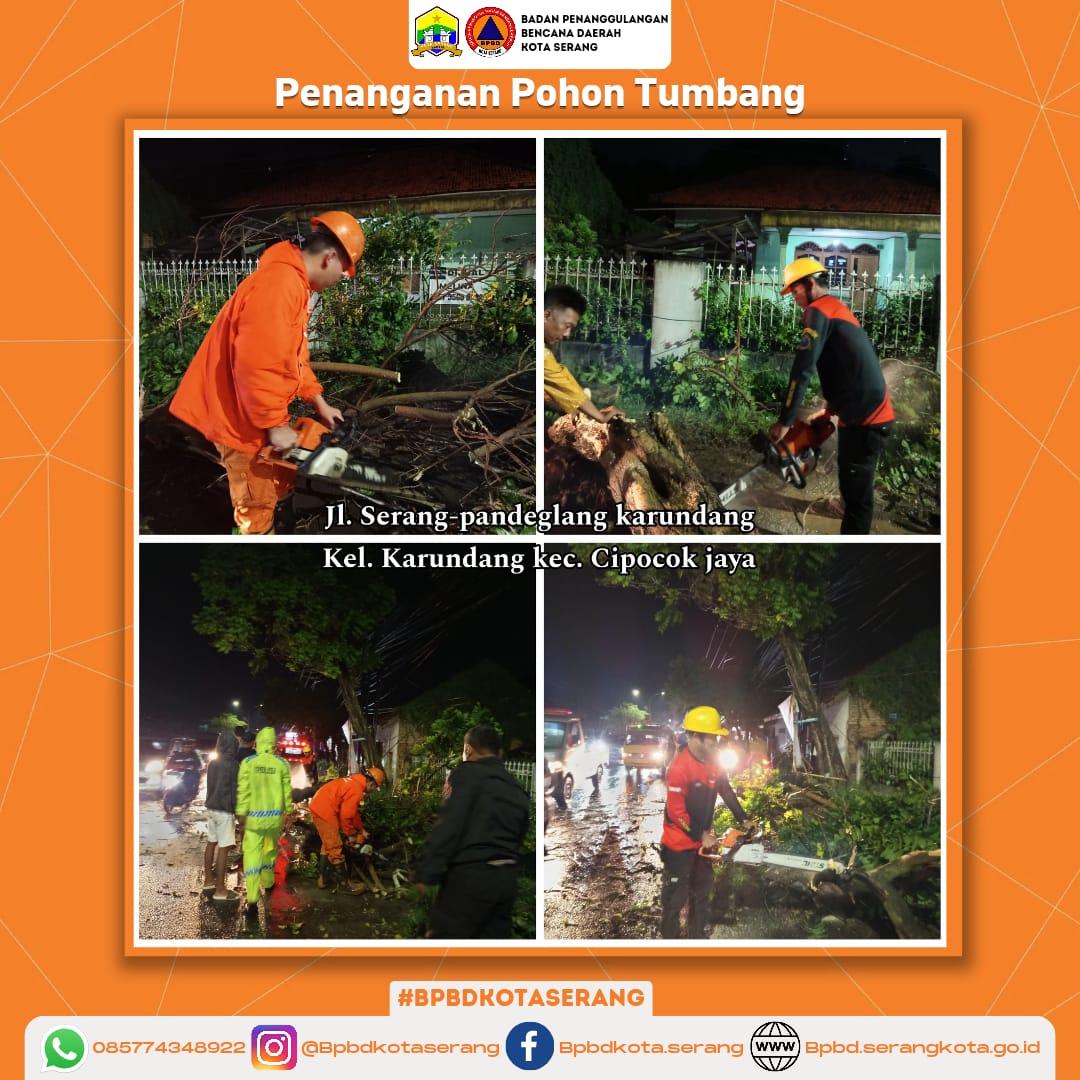 Penanganan Pohon Tumbang Yang Mengakibatkan Pohon menghalangi akses jalan