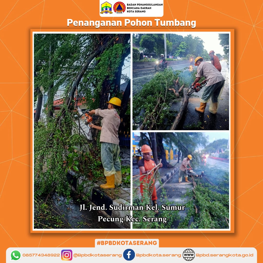 Penanganan Pohon Tumbang Akibat Hujan dan Angin Sedang (Faktor Alam)
