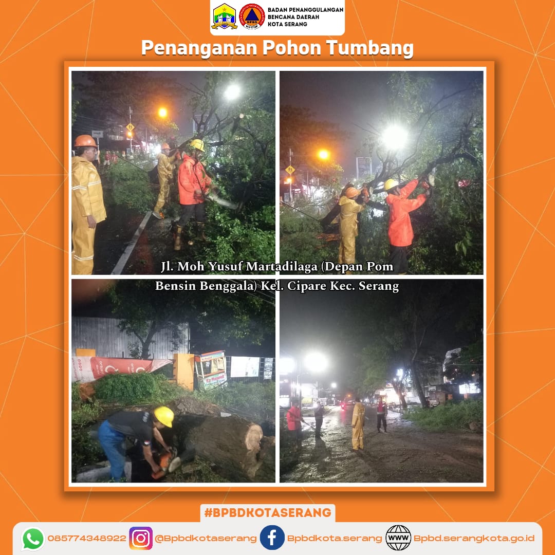 Penanganan Pohon Tumbang Yang Disebabkan Hujan deras di sertai Angin kencang Di Wilayah Kota Serang