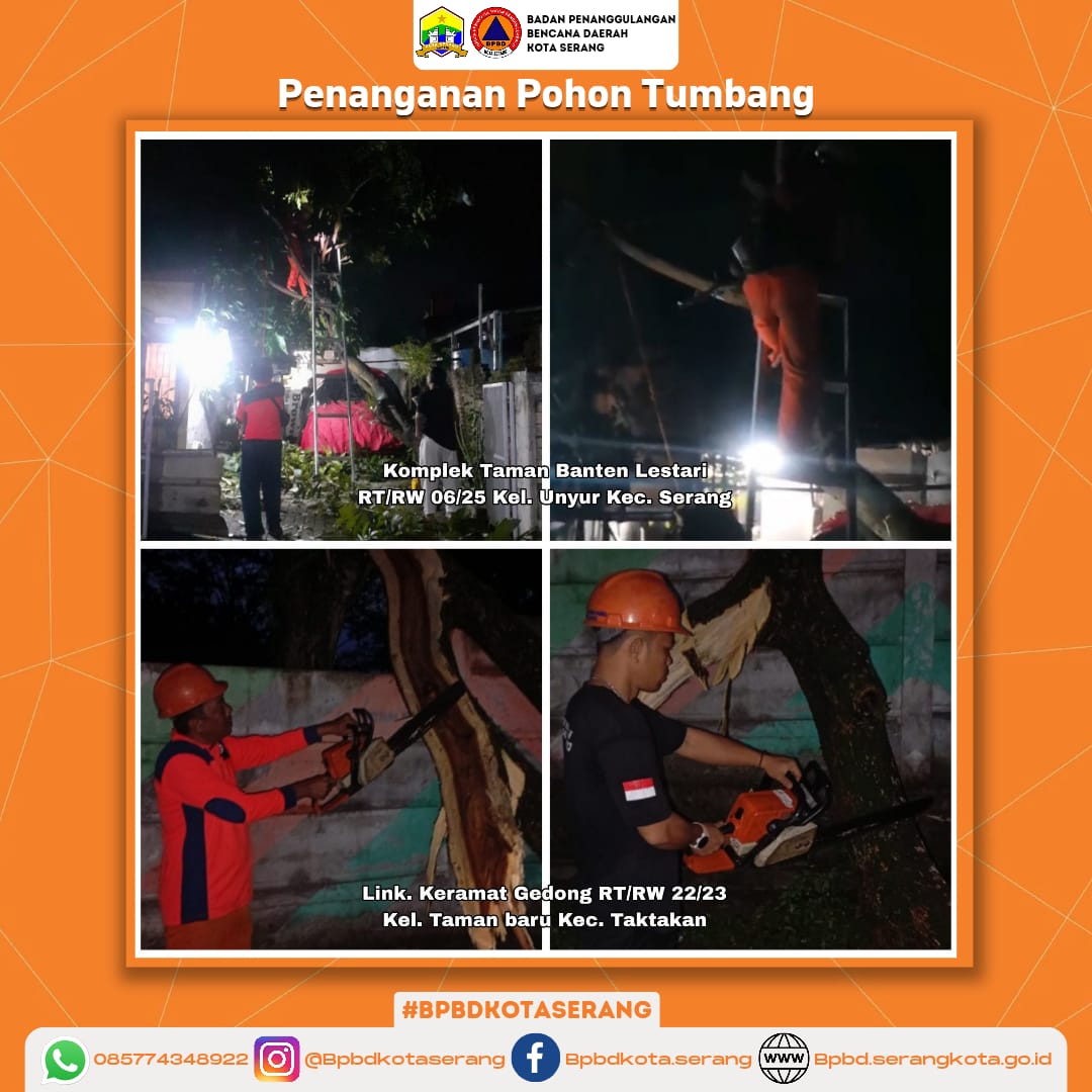Penanganan 2 Pohon Tumbang yang diakibatkan oleh Cuaca Ekstrim (Hujan Deras dan Angin Kencang)