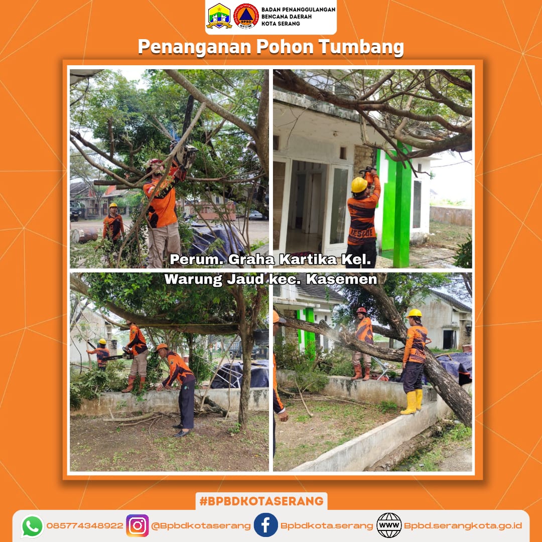 Penanganan Pohon Tumbang Disebabkan Faktor Alam (Hujan dan Angin Kencang) Di Kota Serang