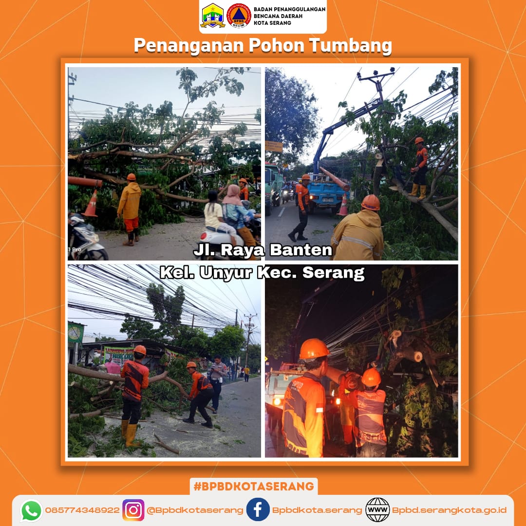 Laporan Penanganan Pohon Tumbang Disebabkan Faktor non alam ( mobil fuso menabrak pohon )