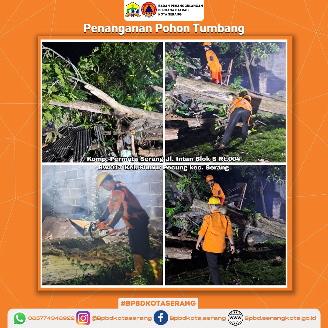 Penanganan Pohon Tumbang Yang Disebabkan Faktor Alam (Angin Kencang) dan Pohon Sudah Lapuk
