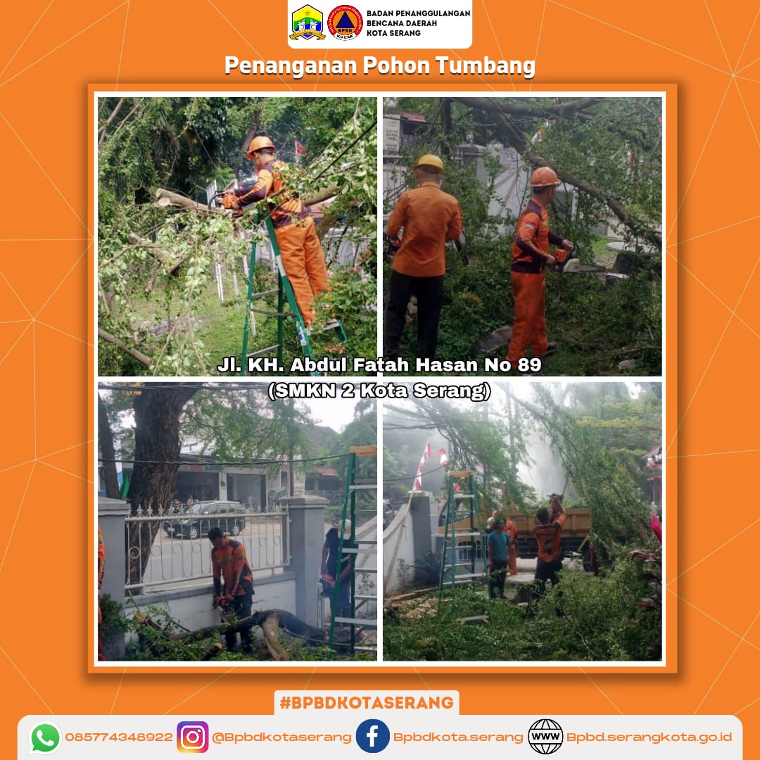 Laporan Penanganan Pohon Tumbang Tgl 04 September 2025