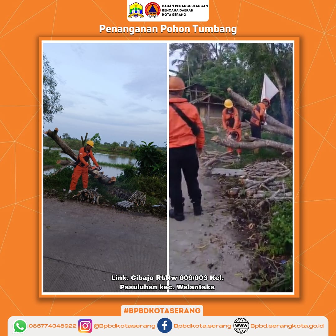 Penanganan Pohon Tumbang Penyebab Dari Faktor Alam (Hujan dan Angin Kencang)