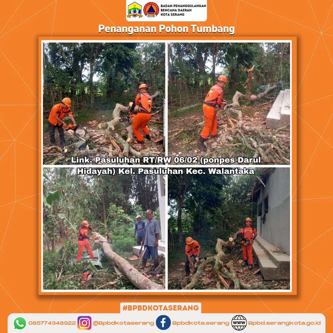 Penanganan Pohon Tumbang Penyebab Faktor Alam (Hujan deras disertai Angin) Di kec. Walantaka