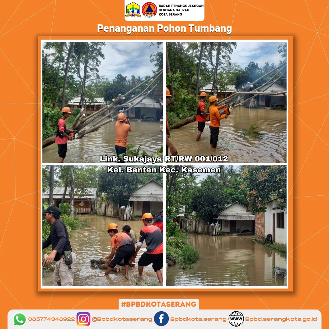 Penanganan Pohon Tumbang Yang Disebabkan Faktor Alam (Hujan deras disertai Angin) Di Wilayah Kota Serang