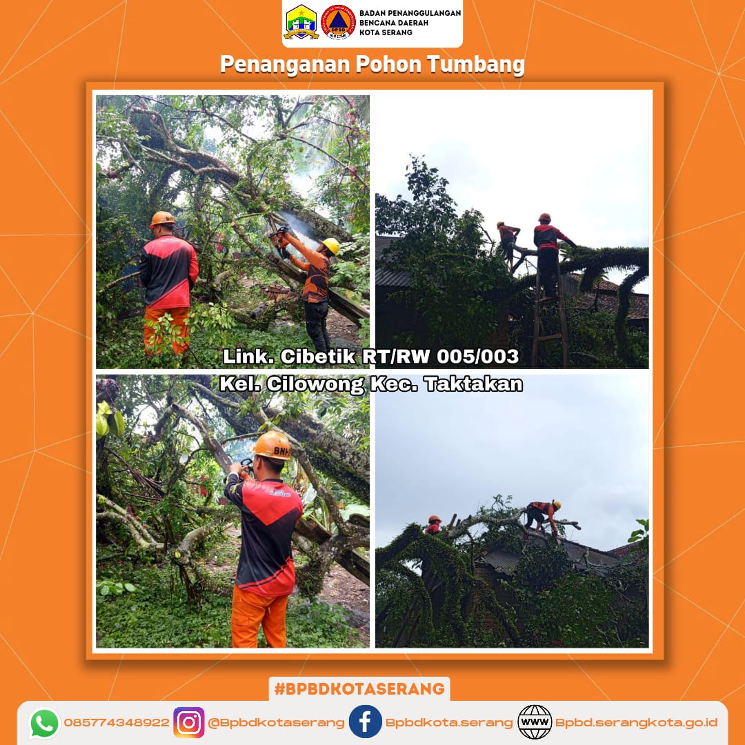 Assessment Penanganan Pohon Tumbang Menimpa Atap Rumah Yang Di Sebabkan Faktor Alam (Hujan deras disertai Angin)