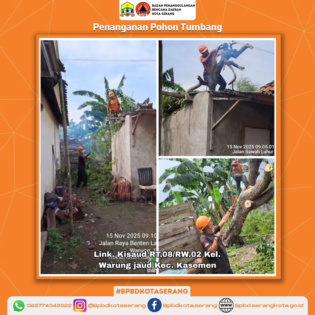 Penanganan Pohon Tumbang Menimpa Rumah Di Wilayah Kota Serang
