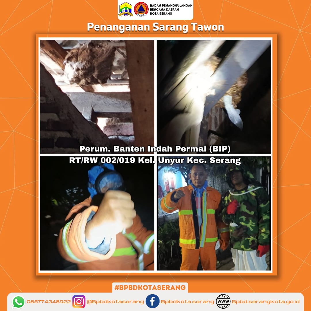 Giat BPBD Kota Serang Melakukan Penanganan Sarang Tawon Di Wilayah Kota Serang