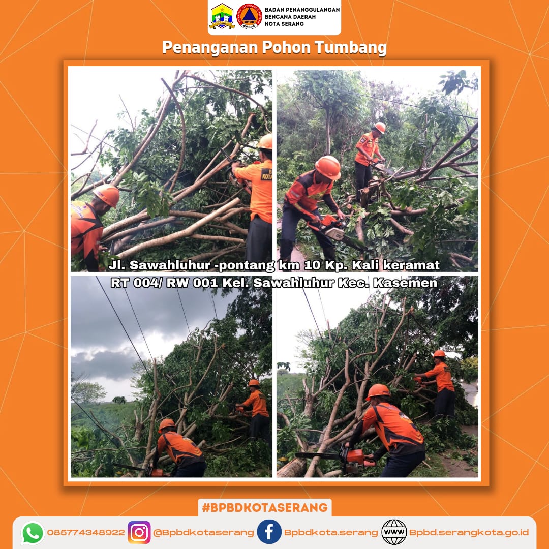 Laporan Penanganan Pohon Tumbang Disebabkan Faktor Alam (Hujan deras disertai Angin)
