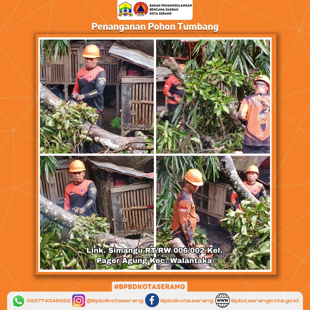 Penanganan Pohon Tumbang Menimpa Rumah Yang Di Sebabkan oleh Faktor Alam (Hujan disertai Angin kencang)
