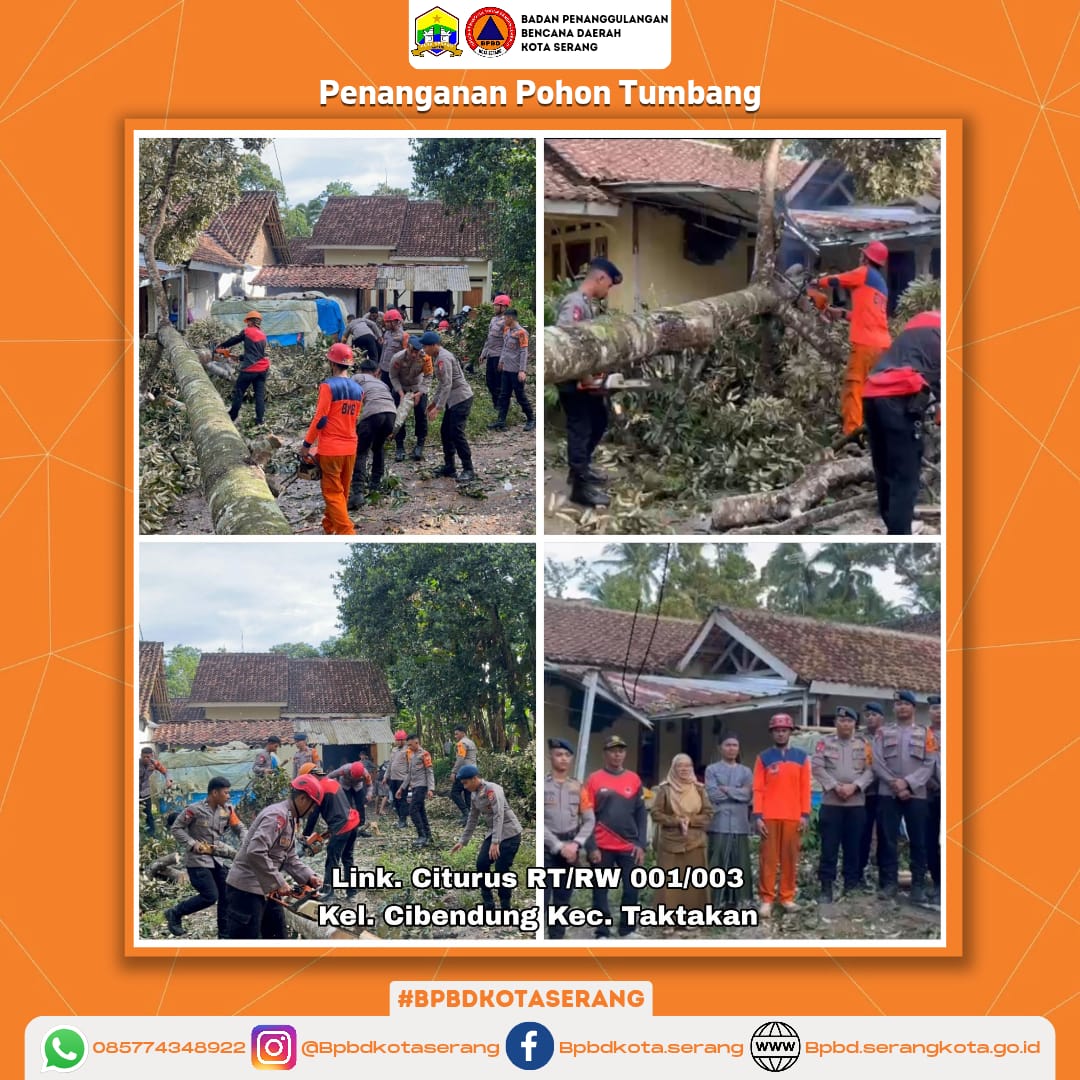 Penanganan Pohon Tumbang Menimpa Rumah Dampak Dari Sebuah Pohon Asam Tumbang Yang Menimpa Kanopi Rumah