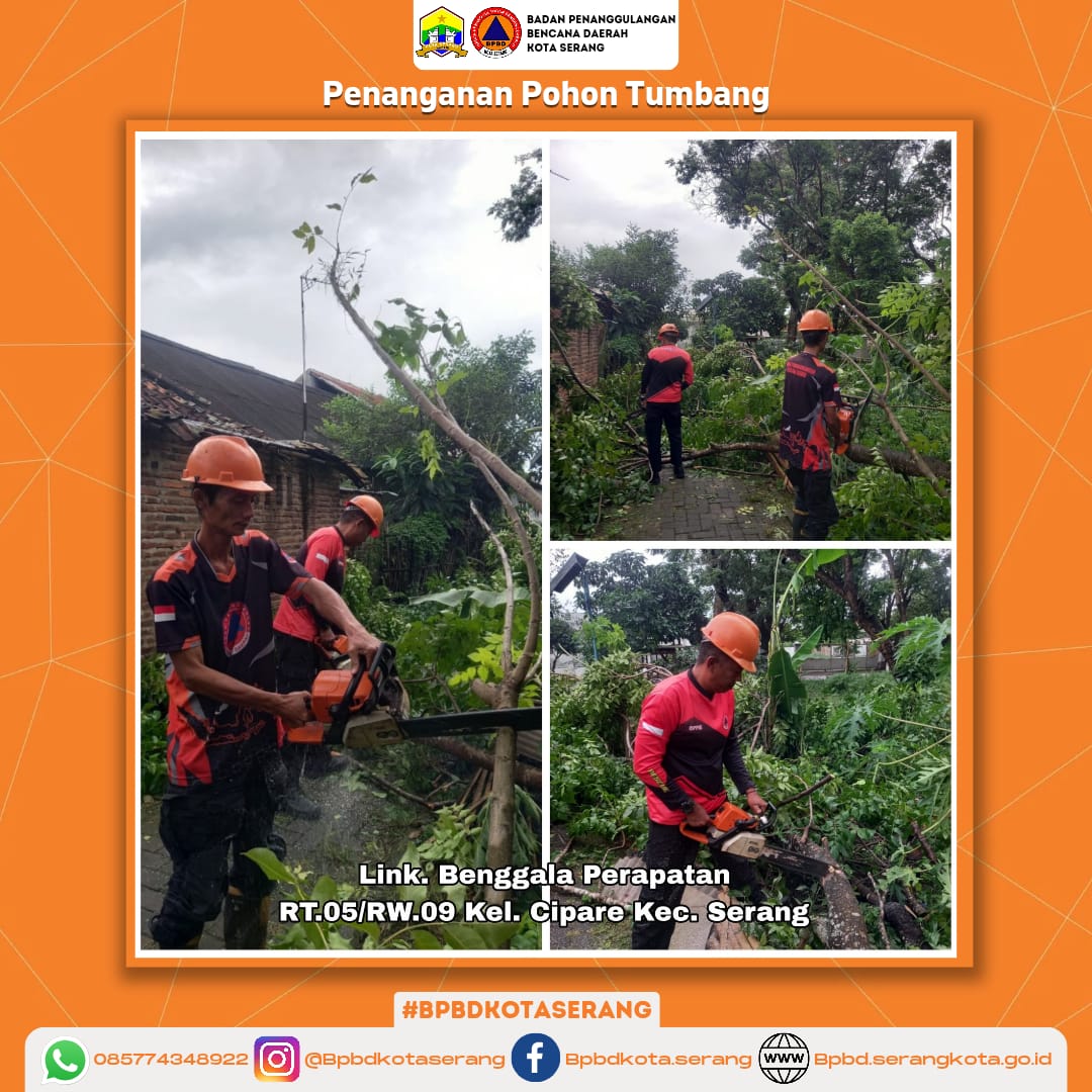 Penanganan Pohon Tumbang Sehingga Pohon Menghalangi Akses Jalan Permukiman dan Menimpa Kabel Listrik