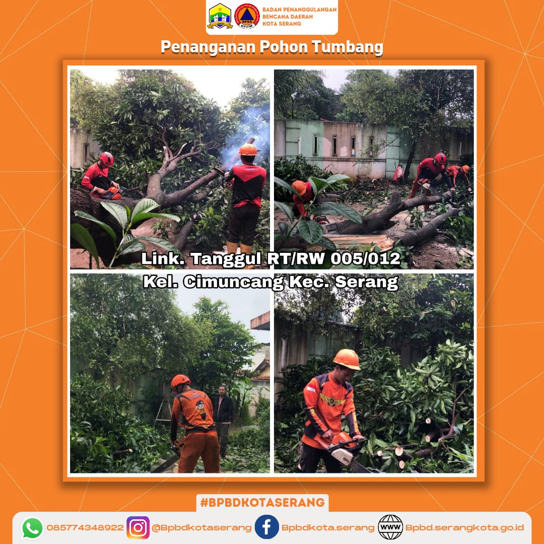 Penanganan Pohon Tumbang Menimpa Rumah Di Wilayah Kec  Serang