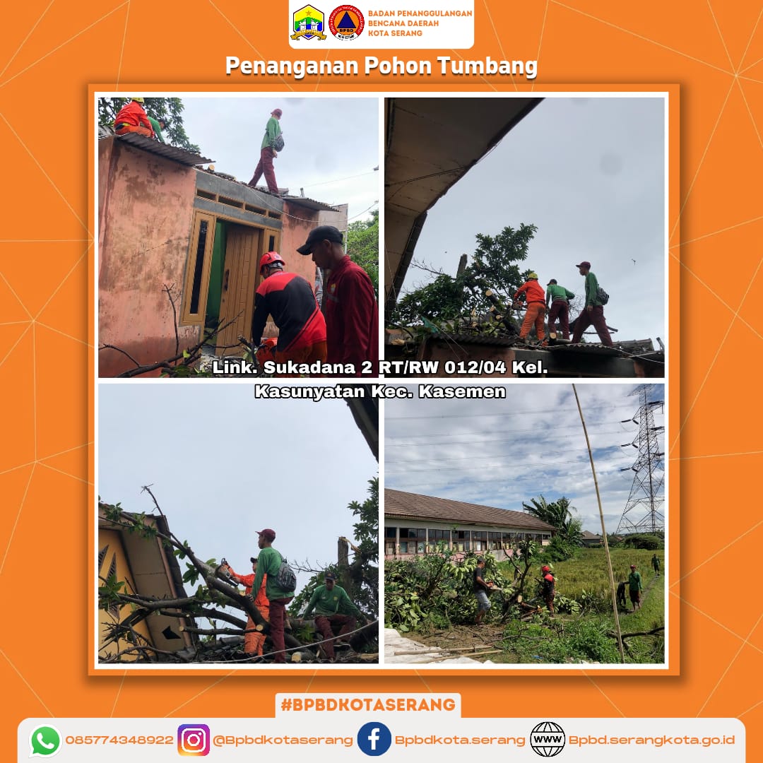 " Penanganan Pohon Tumbang Menimpa Sekolah "