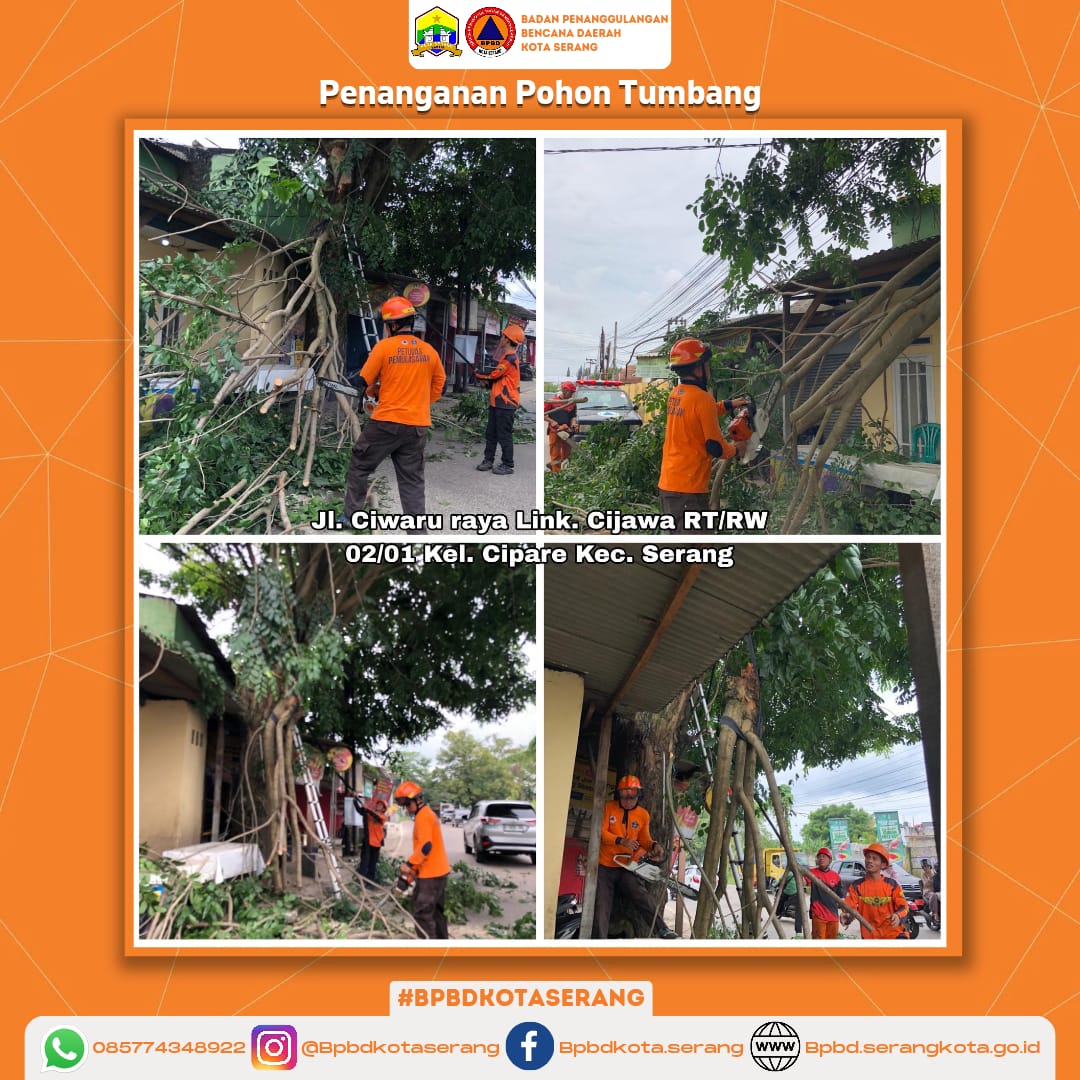 Penanganan Pohon Tumbang DiSebabkan Faktor Alam (Angin kencang) Sehingga Menimpa Kabel Listrik