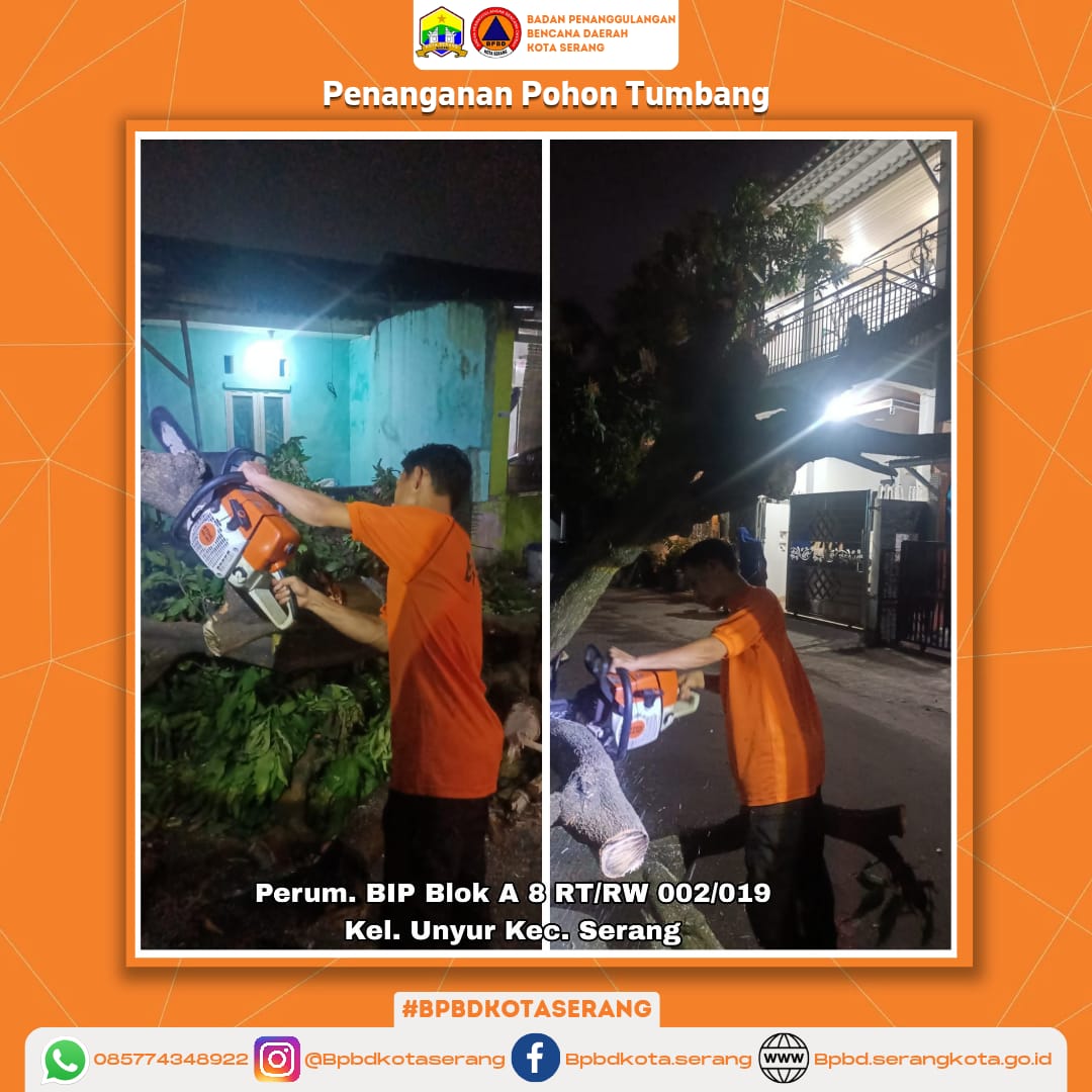 Penanganan Pohon Tumbang Yang Di Sebabkan Oleh Faktor Non Alam (Pohon Sudah Rapuh)