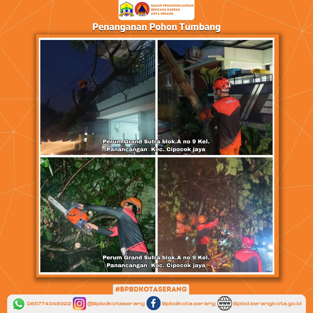 Penanganan 2 (dua) Pohon Tumbang Di Wilayah Kec. Cipocok jaya