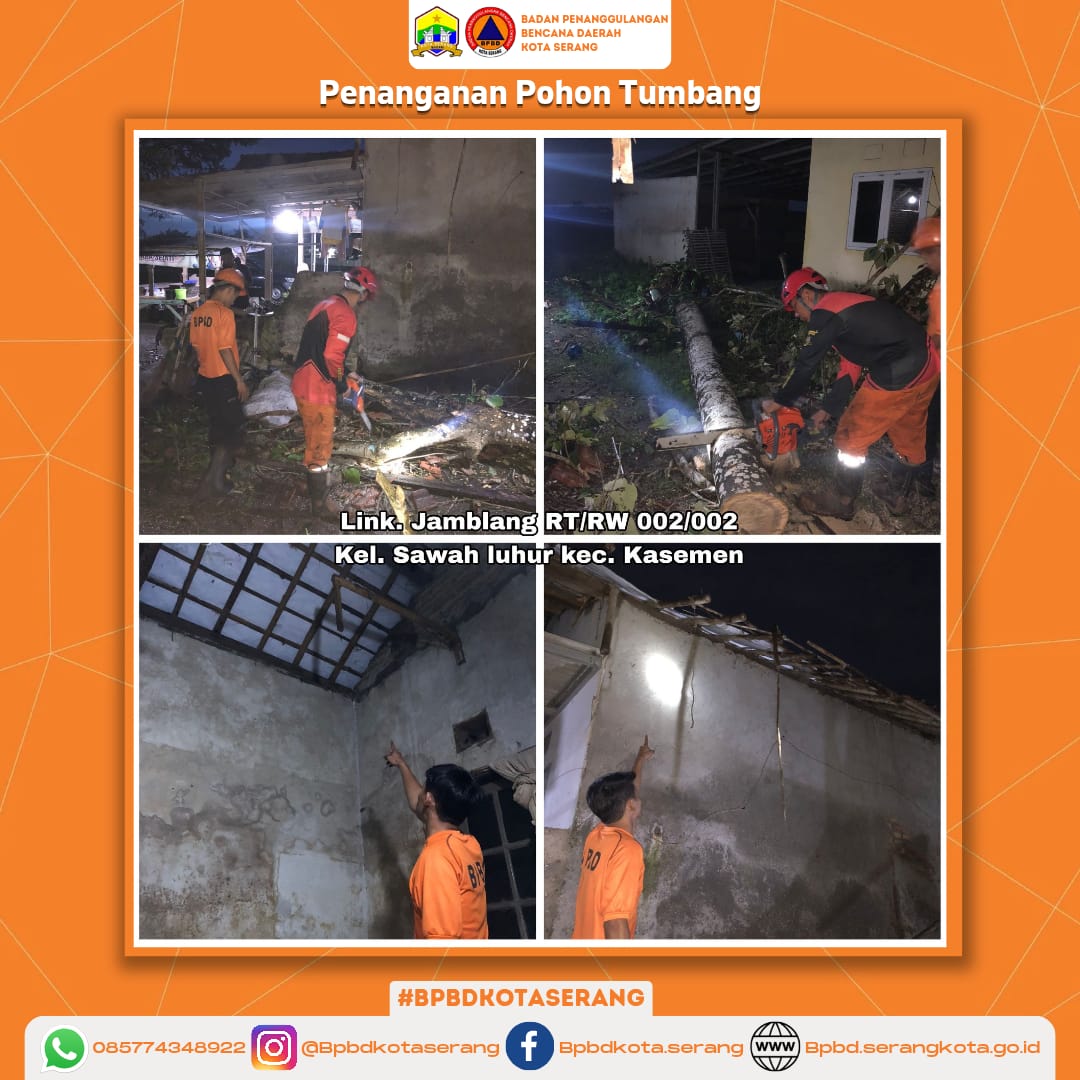 Penanganan Pohon Tumbang Menimpa Rumah Di Wilayah Kecamatan Kasemen