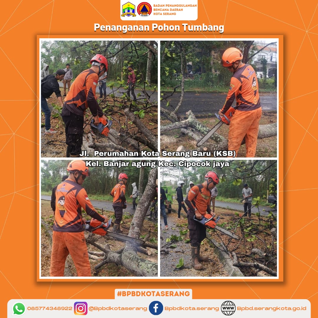 Penanganan Pohon Tumbang YangDisebabkan Oleh Faktor Alam (hujan deras &Angin Kencang),  Sehingga Pohon Menghalangi Akses Jalan.
