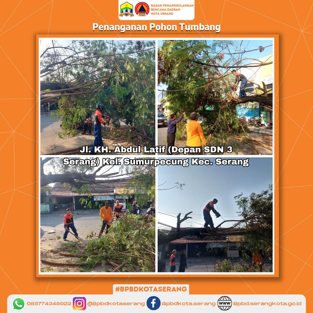 Penanganan Pohon Tumbang Di Wilayah Kec. Serang