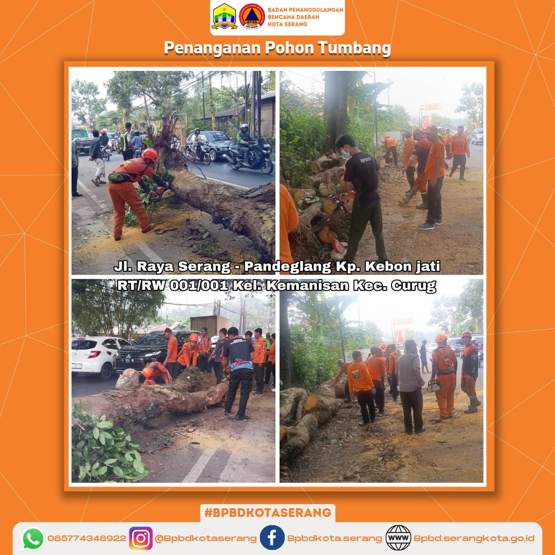Penanganan Pohon Tumbang Yang Disebabkan Oleh Faktor Non Alam (Tabrak Mobil Box) Di Wilayah Kecamatan Curug